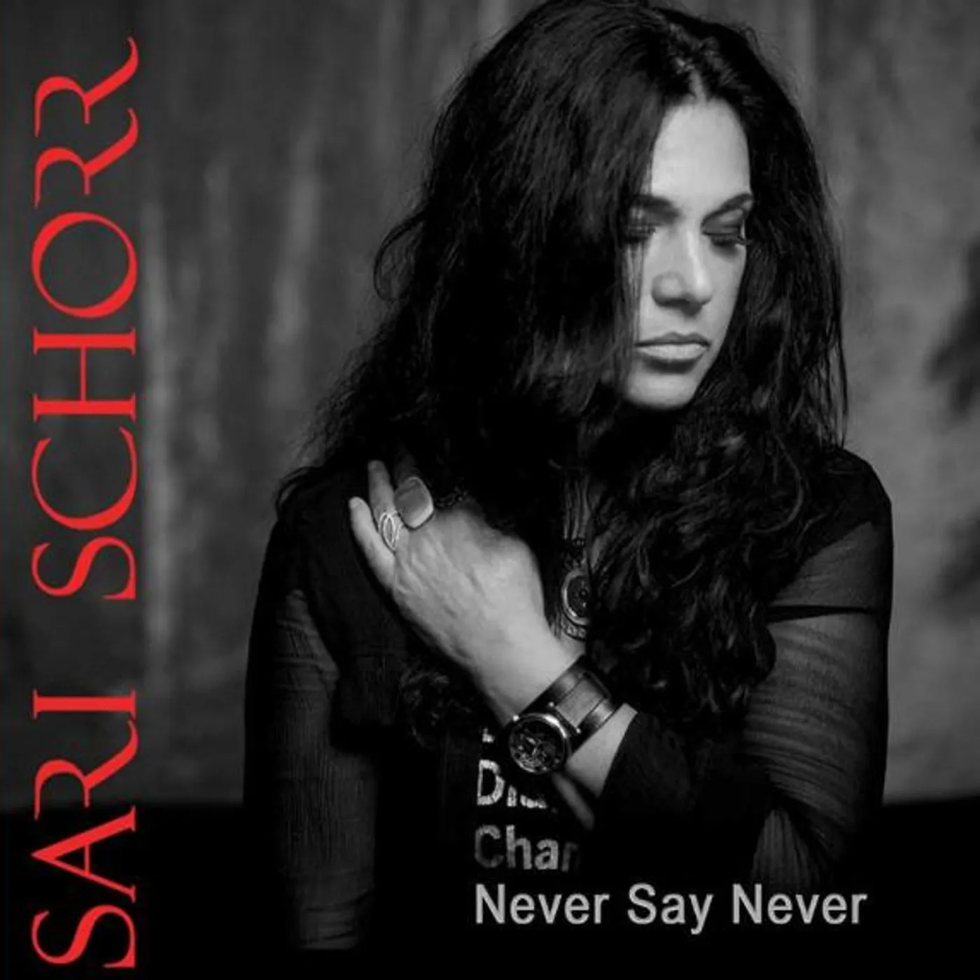 Sari Schorr Never Say Never Vinyl Record