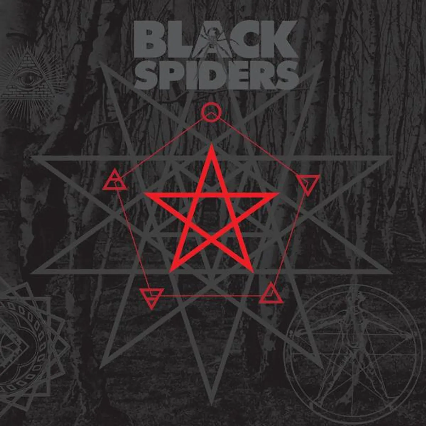 Black Spiders (SILVER VINYL) Vinyl Record