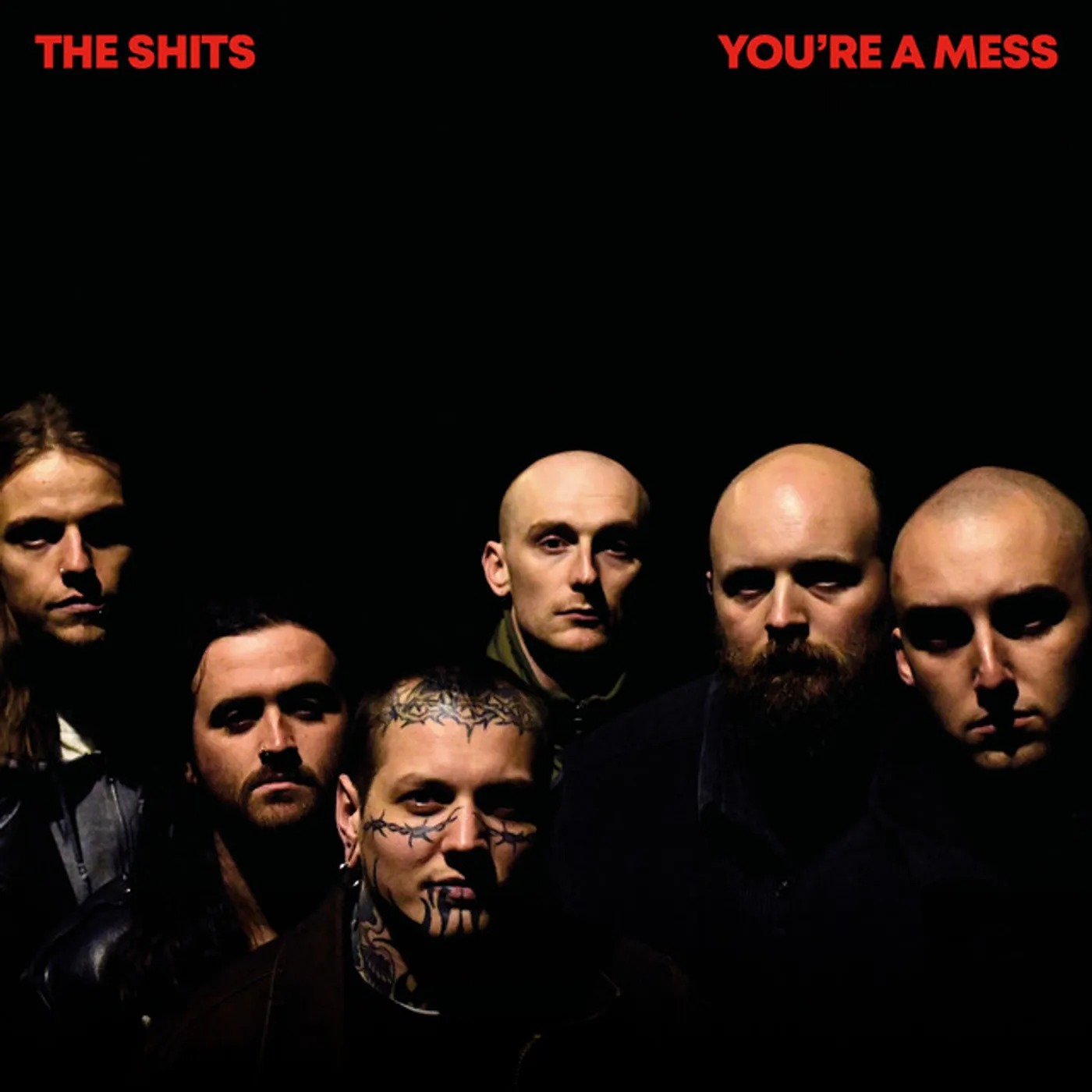 The Shits YOU'RE A MESS Vinyl Record