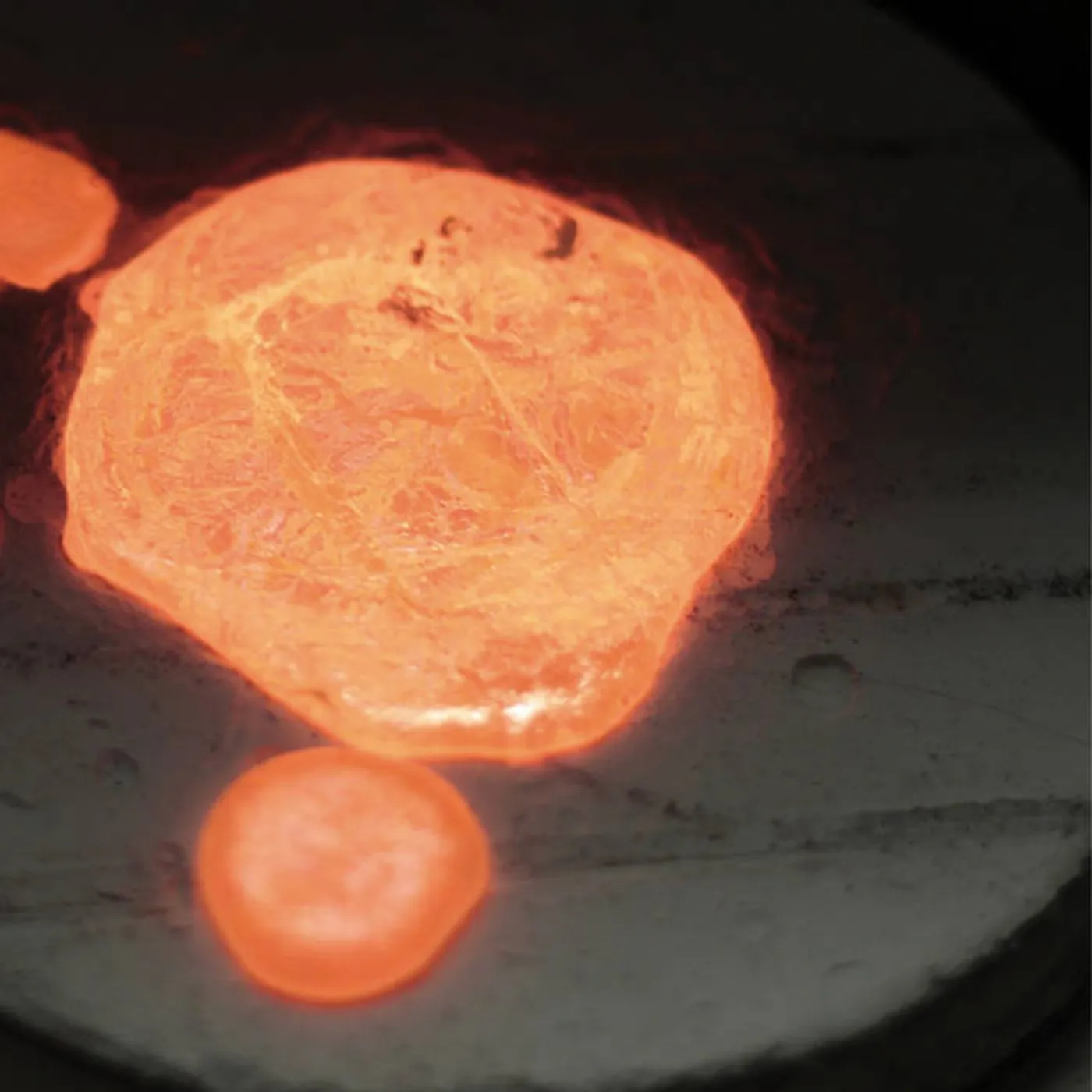 Lotus Eater PLASMA (2LP) Vinyl Record