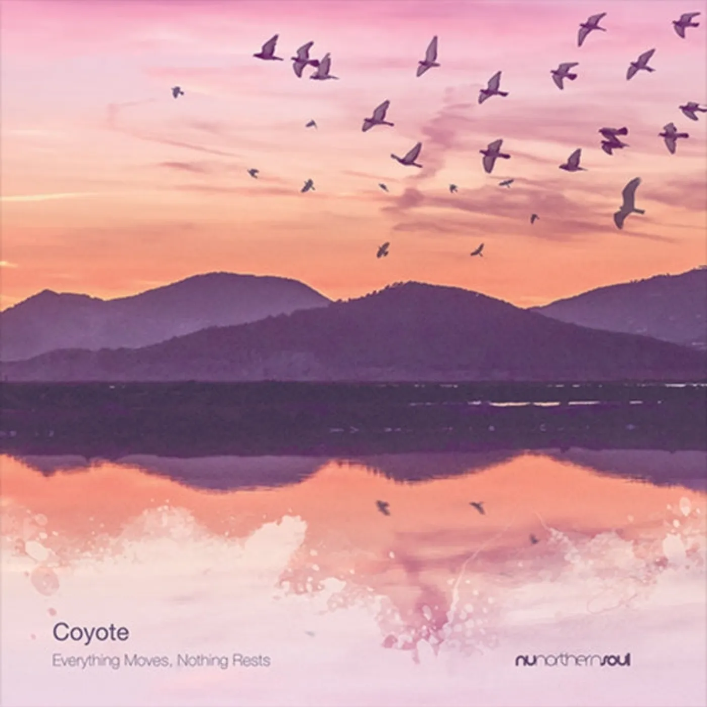 Coyote Everything Moves, Nothing Rests vinyl record