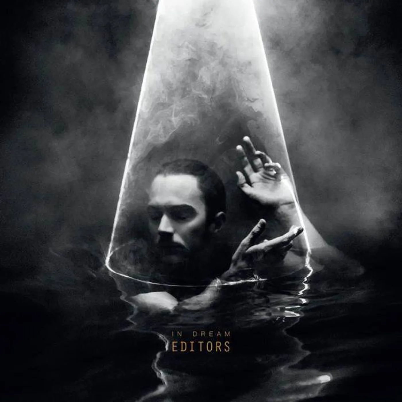 Editors In Dream Vinyl Record