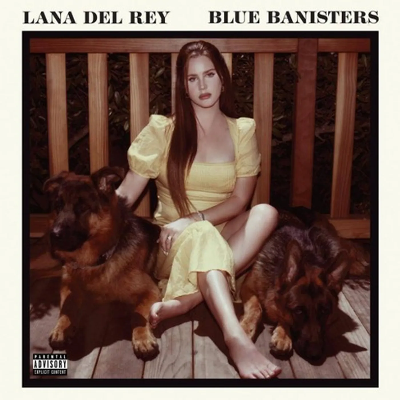 Lana Del Rey BLUE BANISTERS (2LP) Vinyl Record