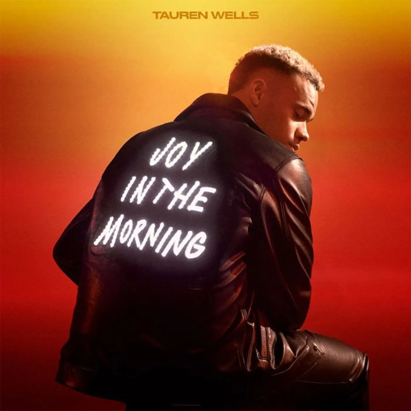 Tauren Wells Joy In The Morning vinyl record