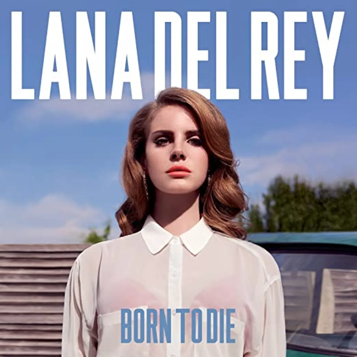 Lana Del Rey Born To Die Vinyl Record