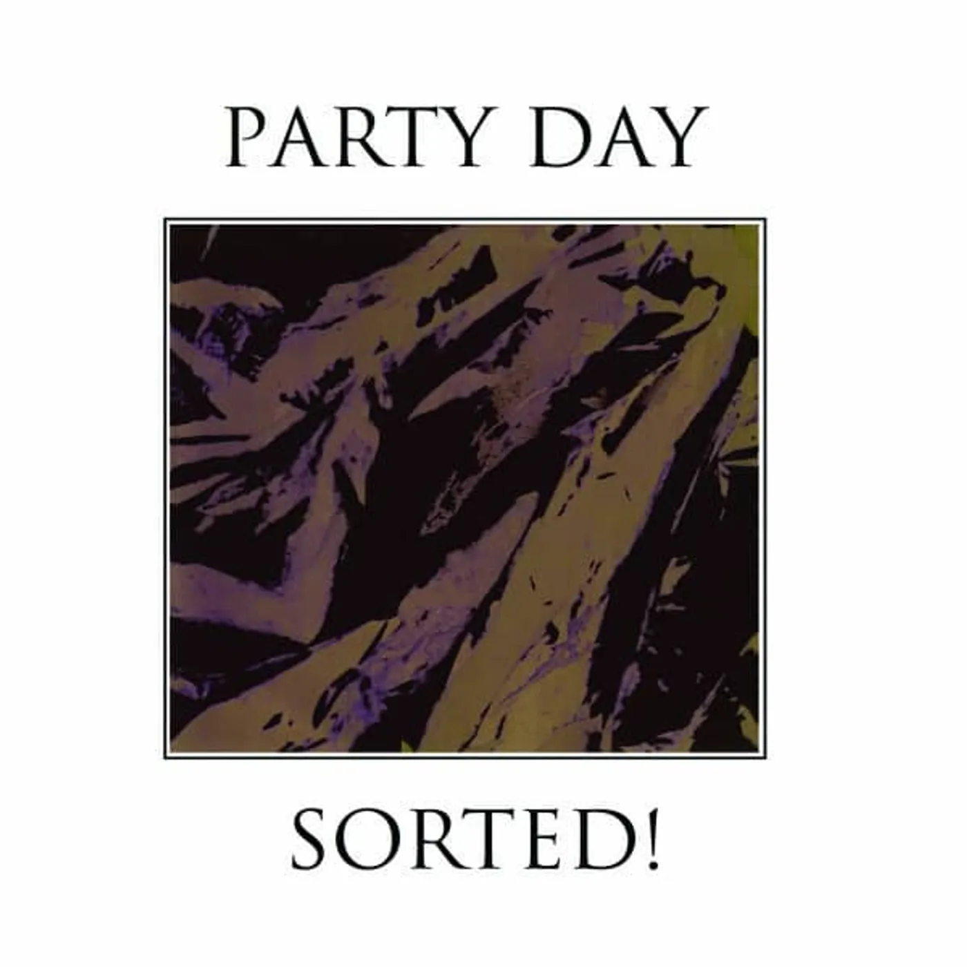 Party Day Sorted! Vinyl Record