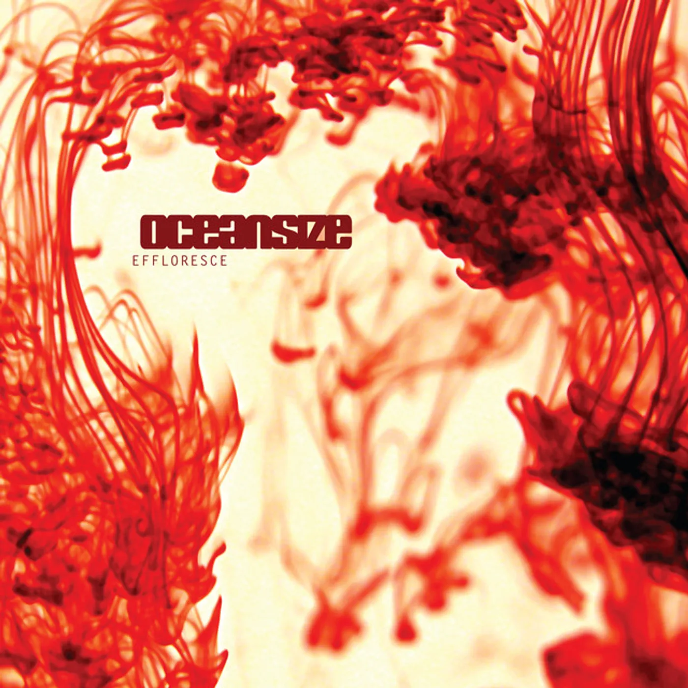 Oceansize Effloresce Vinyl Record