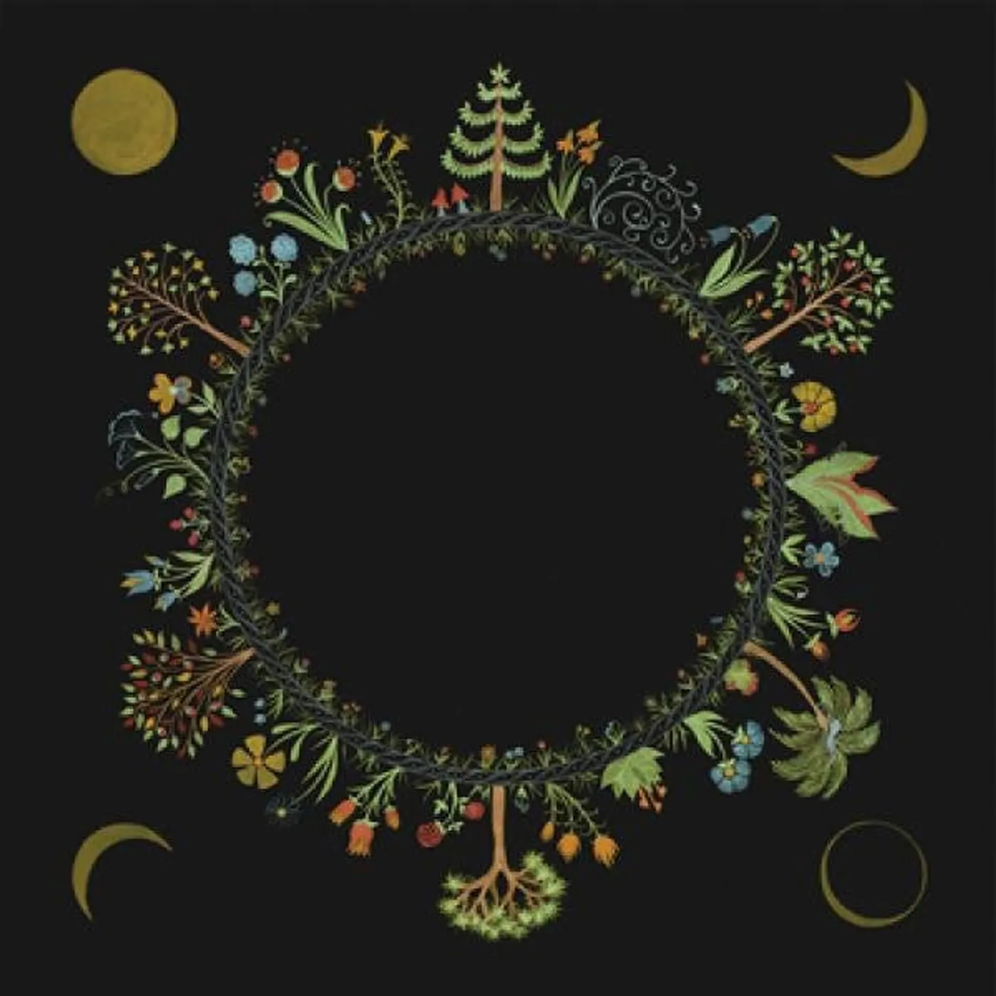 Laura Stevenson Wheel Vinyl Record