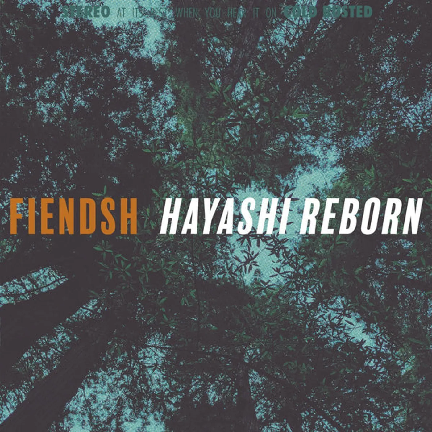 Fiendsh Hayashi Reborn Vinyl Record