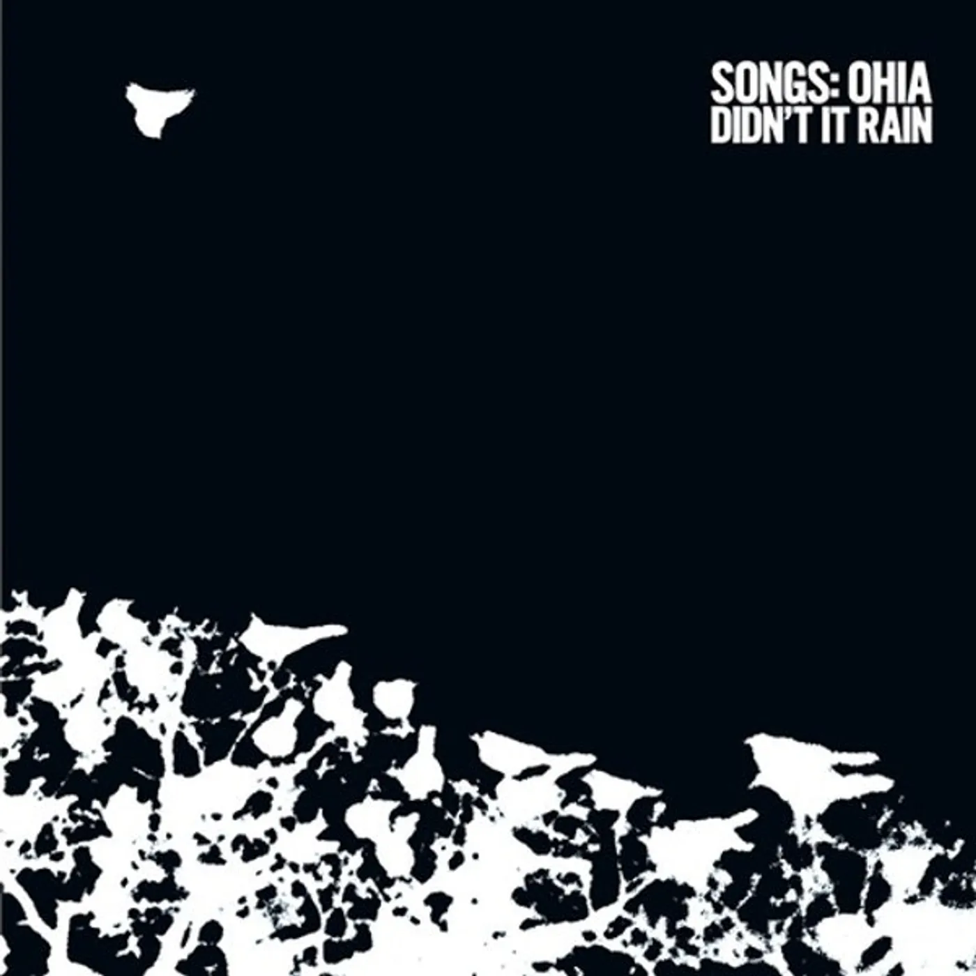 Songs: Ohia DIDN'T IT RAIN (DELUXE) Vinyl Record