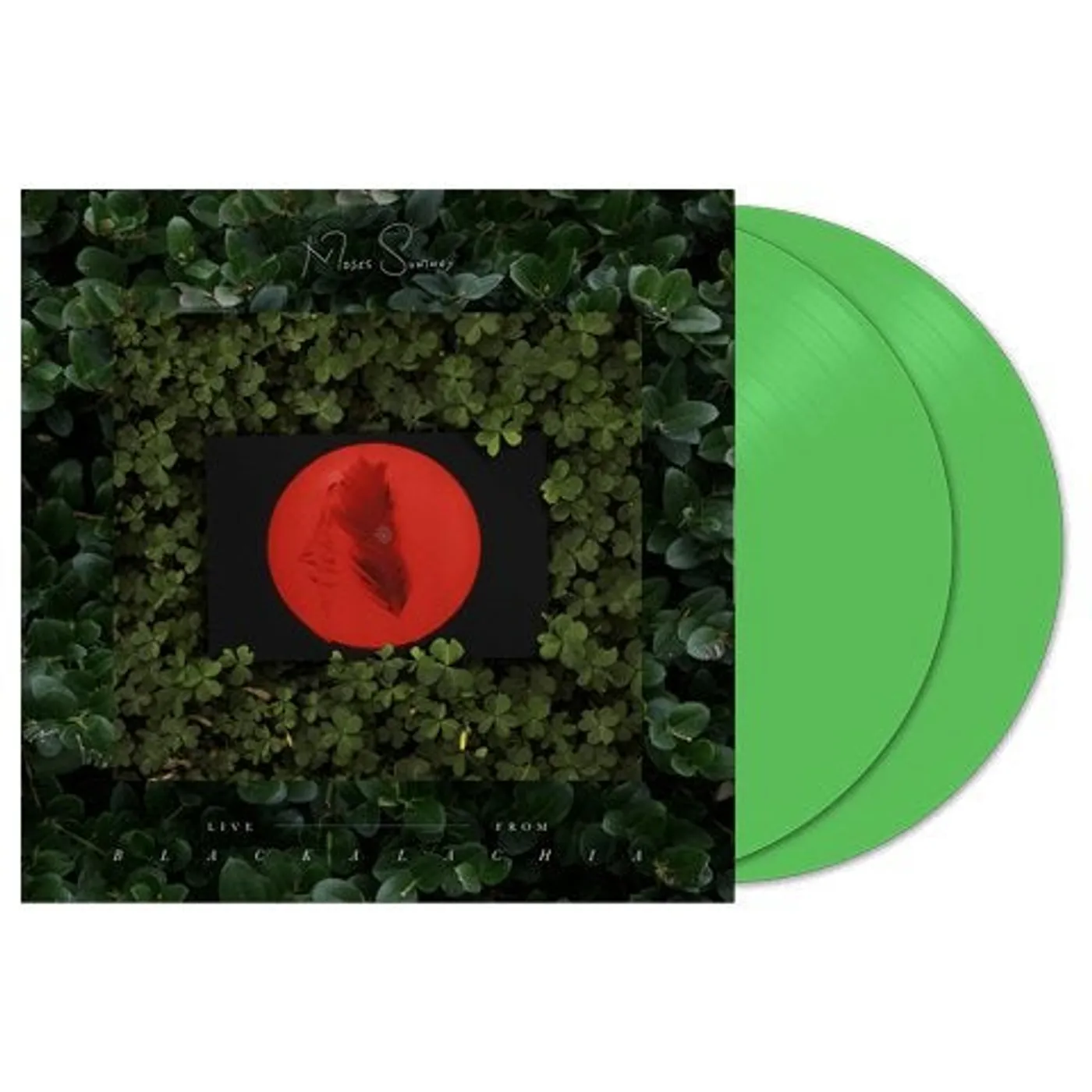 Moses Sumney LIVE - FROM BLACKALACHIA (2LP/CLEAR GREEN VINYL) Vinyl Record