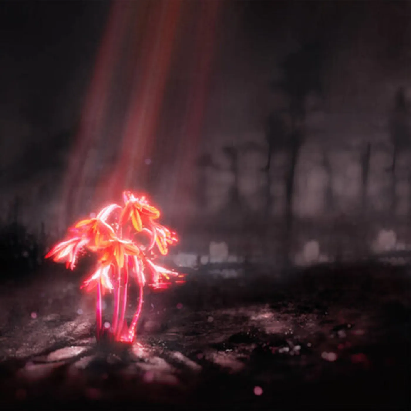 Enter Shikari Kiss For The Whole World (Color Vinyl Record)