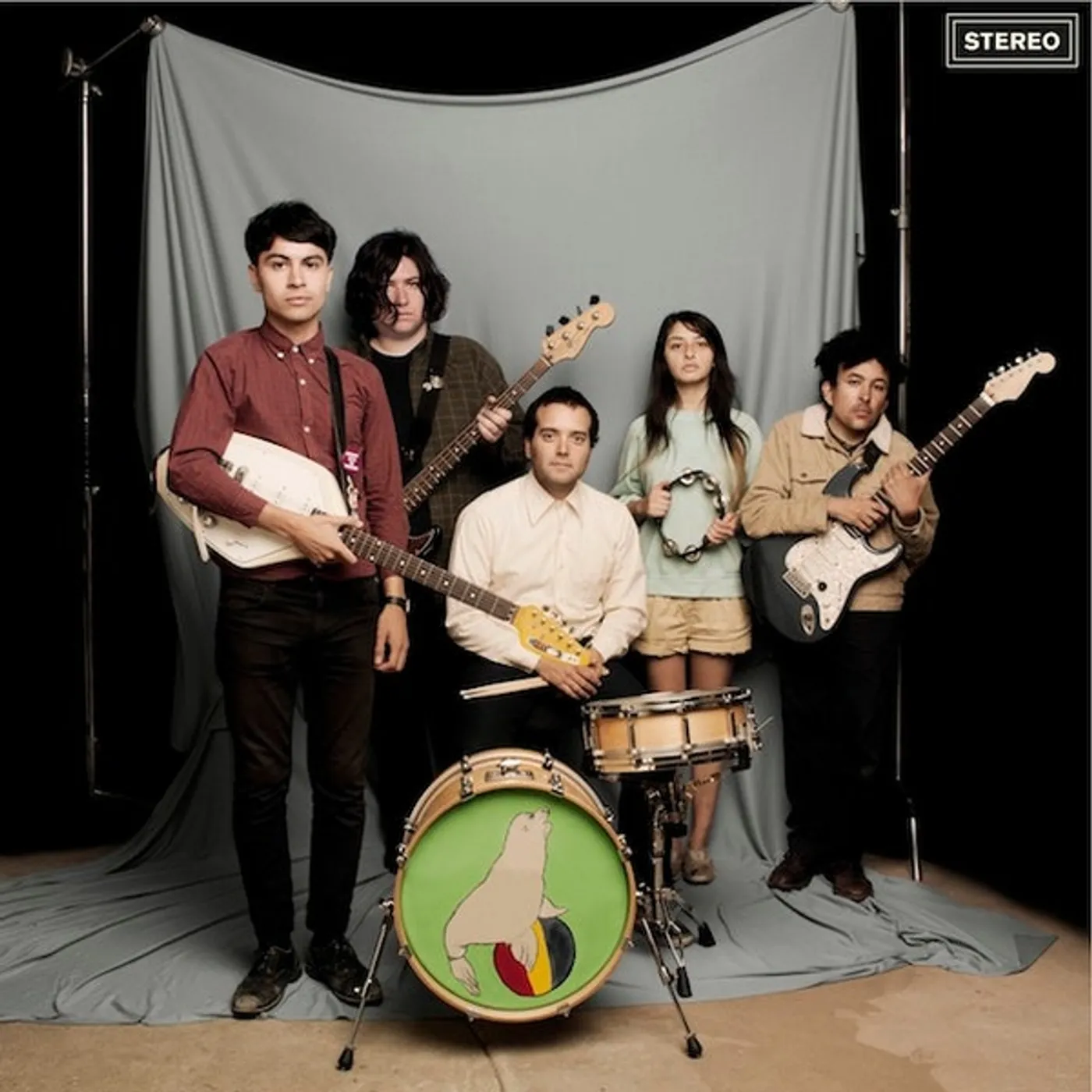 Sea Lions EVERYTHING YOU ALWAYS WANTED TO KNO Vinyl Record