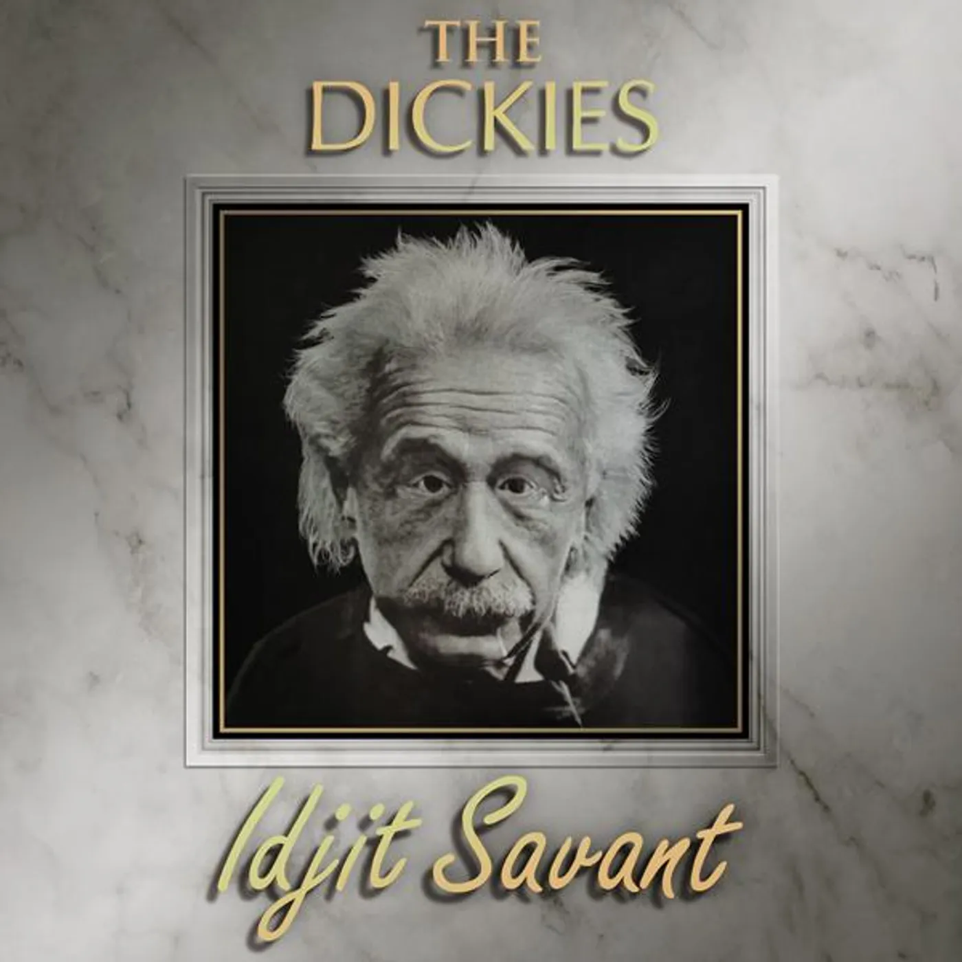The Dickies Idjit Savant Vinyl Record