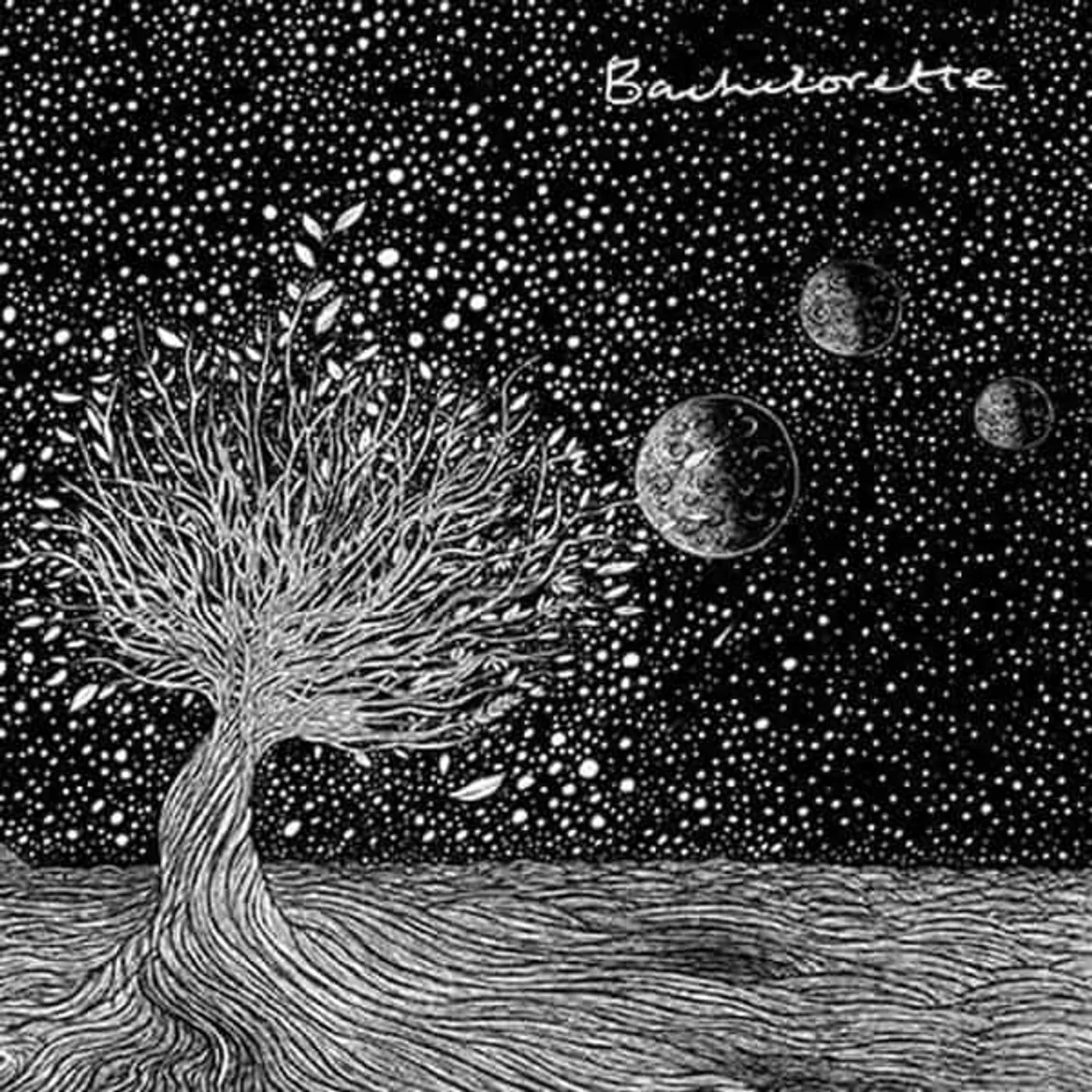 Bachelorette END OF THINGS Vinyl Record