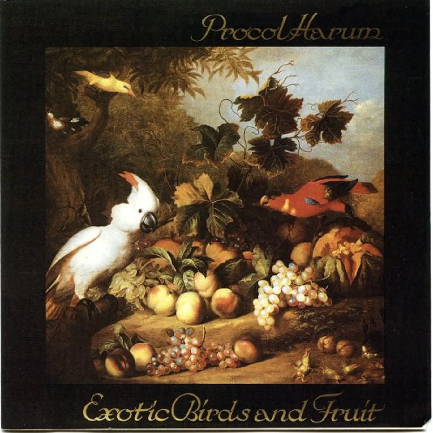 Procol Harum Exotic Birds and Fruit Vinyl Record