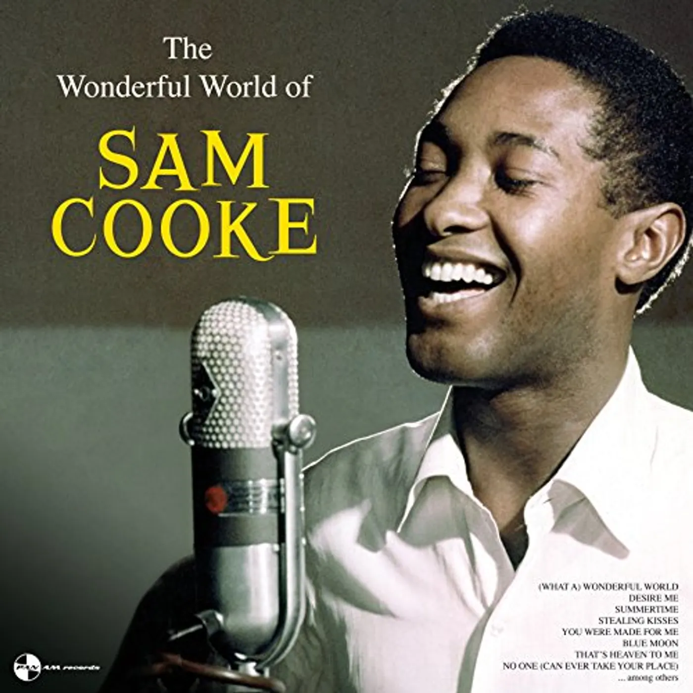 WONDERFUL WORLD OF SAM COOKE (180G/DMM MASTER) Vinyl Record