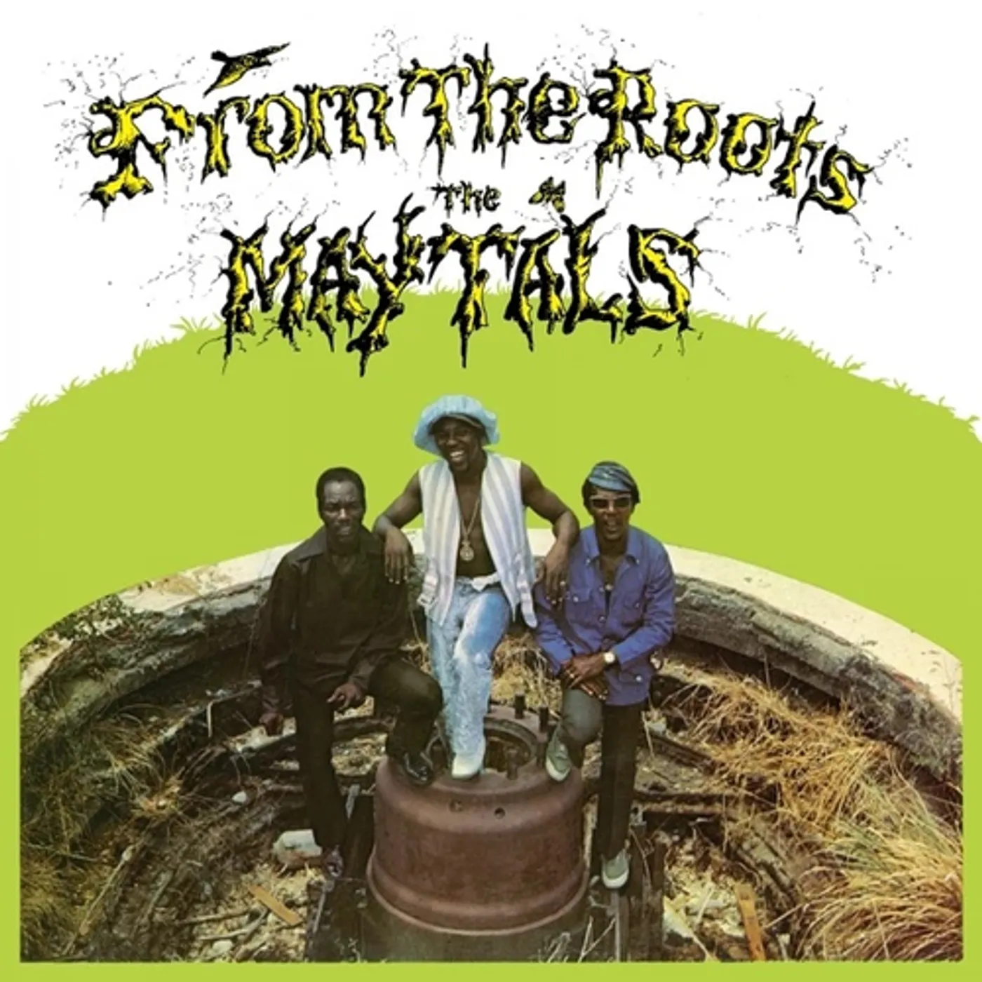 The Maytals FROM THE ROOTS (180G) Vinyl Record