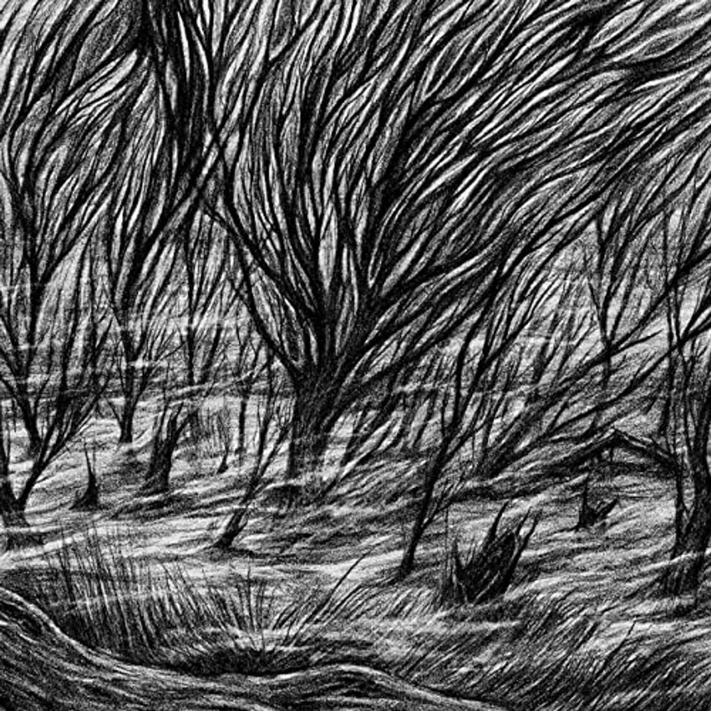 Bismuth Eternal Marshes vinyl record