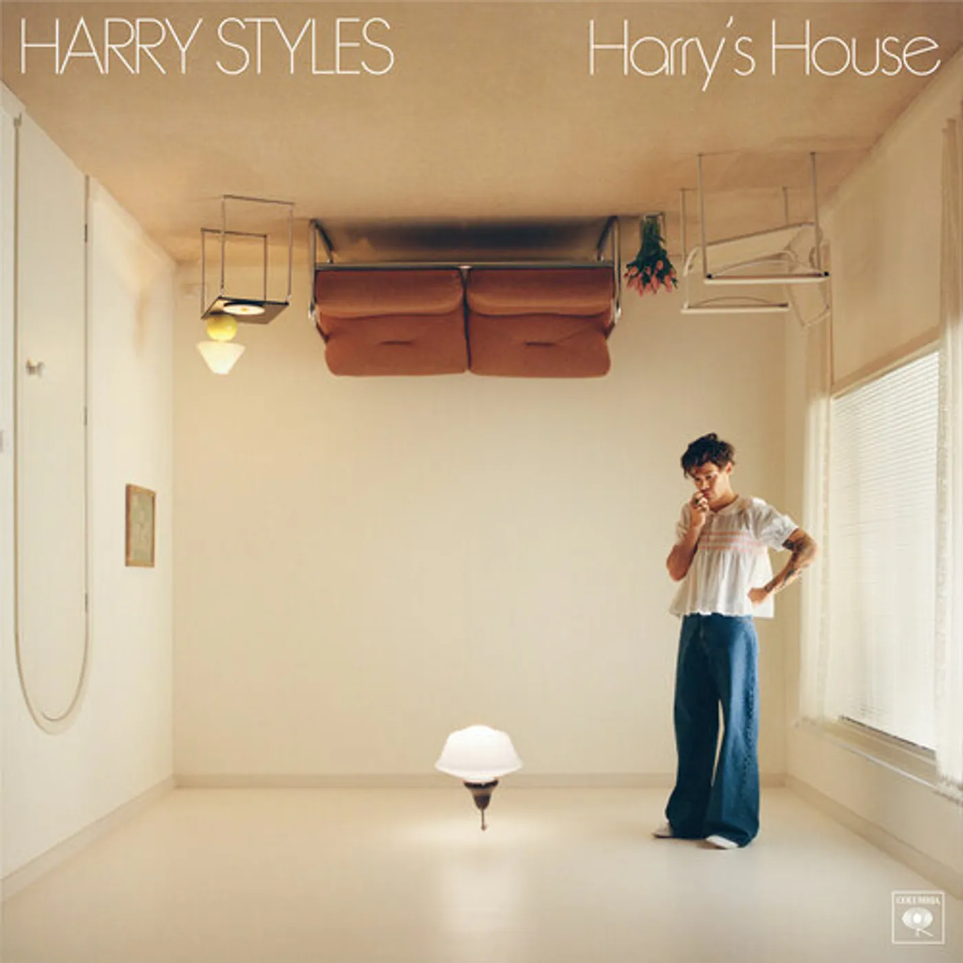 Harry Styles Harry's House (180G) vinyl record