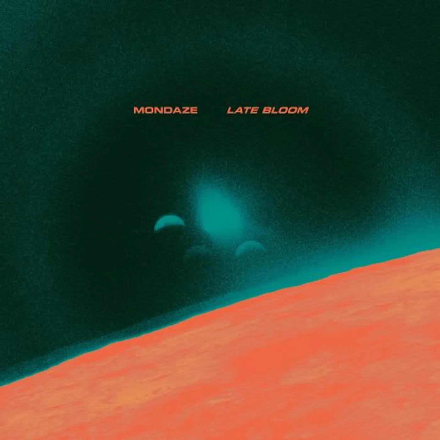 Mondaze Late Bloom Vinyl Record