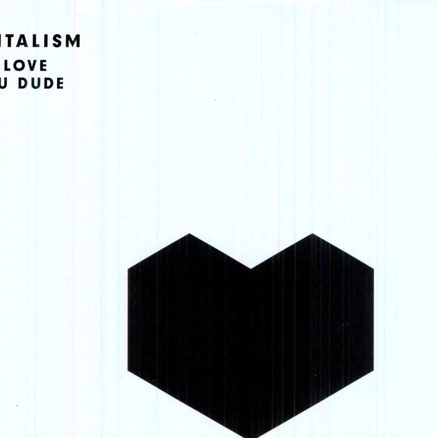 Digitalism I Love You Dude Vinyl Record