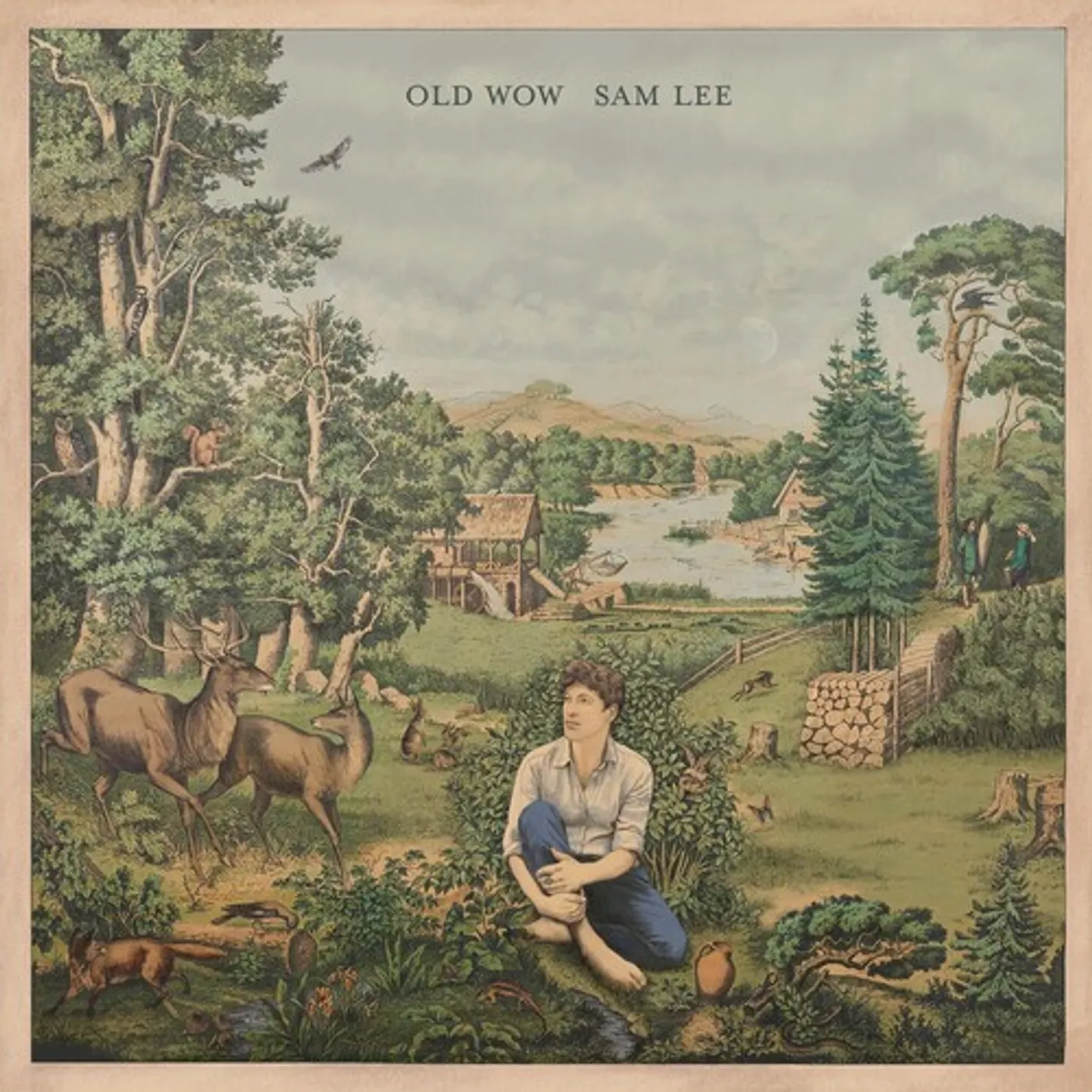 Sam Lee Old Wow Vinyl Record