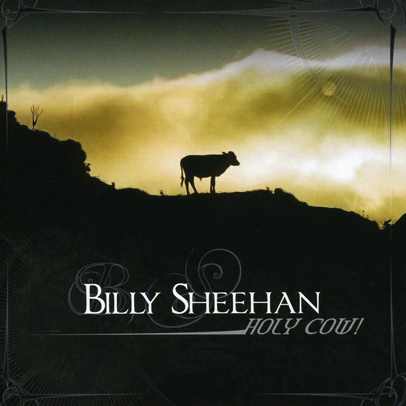 Billy Sheehan HOLY COW CD