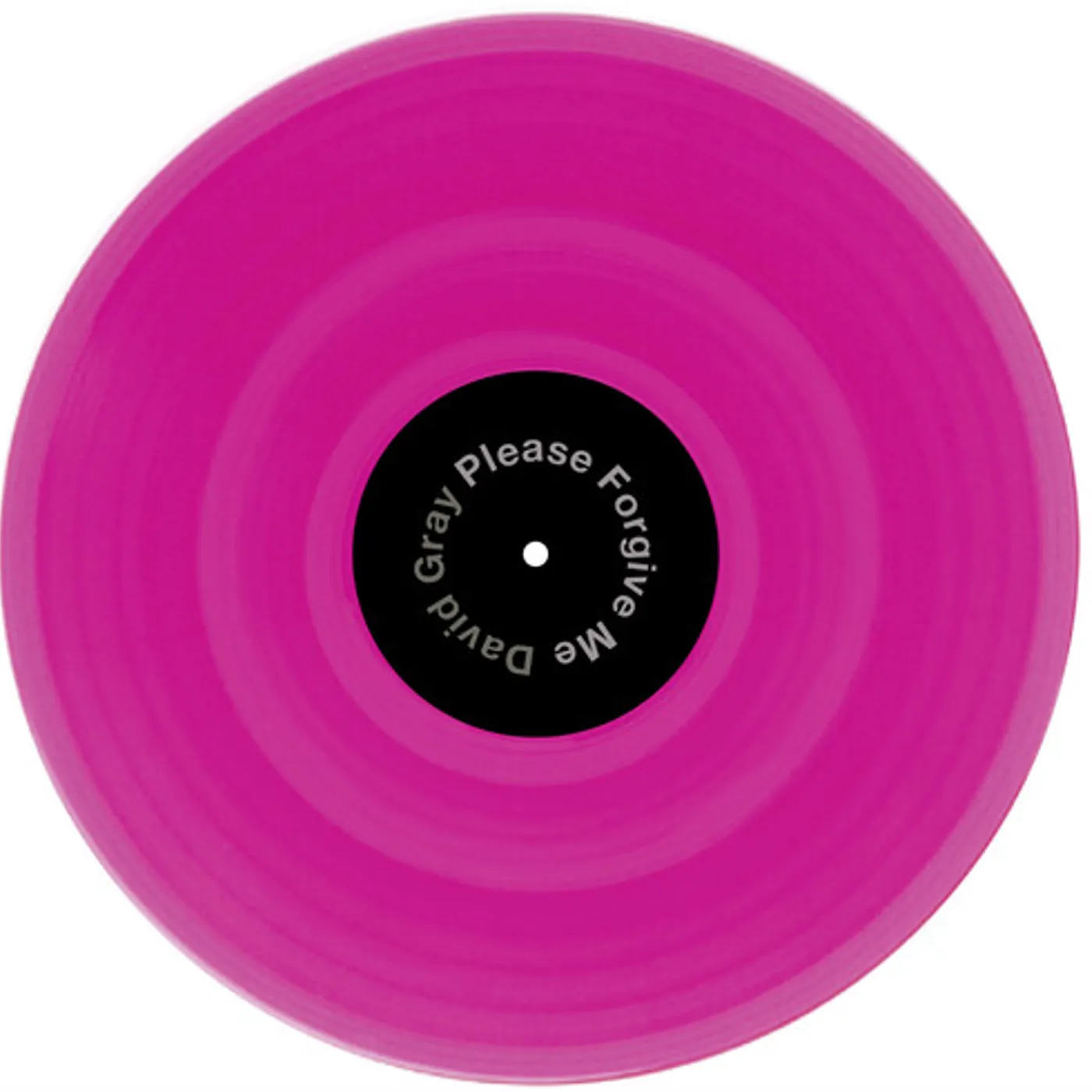 David Gray PLEASE FORGIVE ME 2020 Vinyl Record