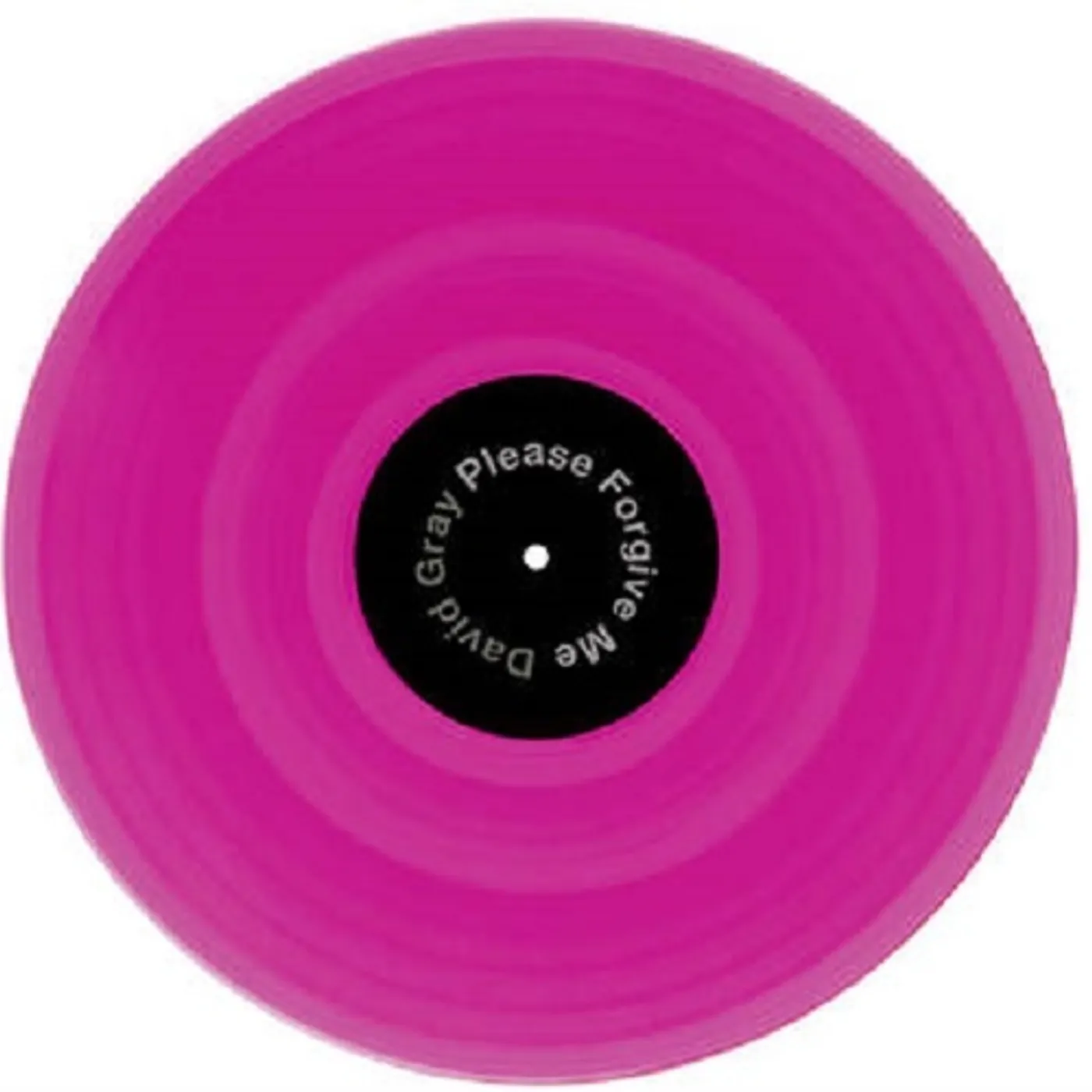 David Gray PLEASE FORGIVE ME 2020 Vinyl Record