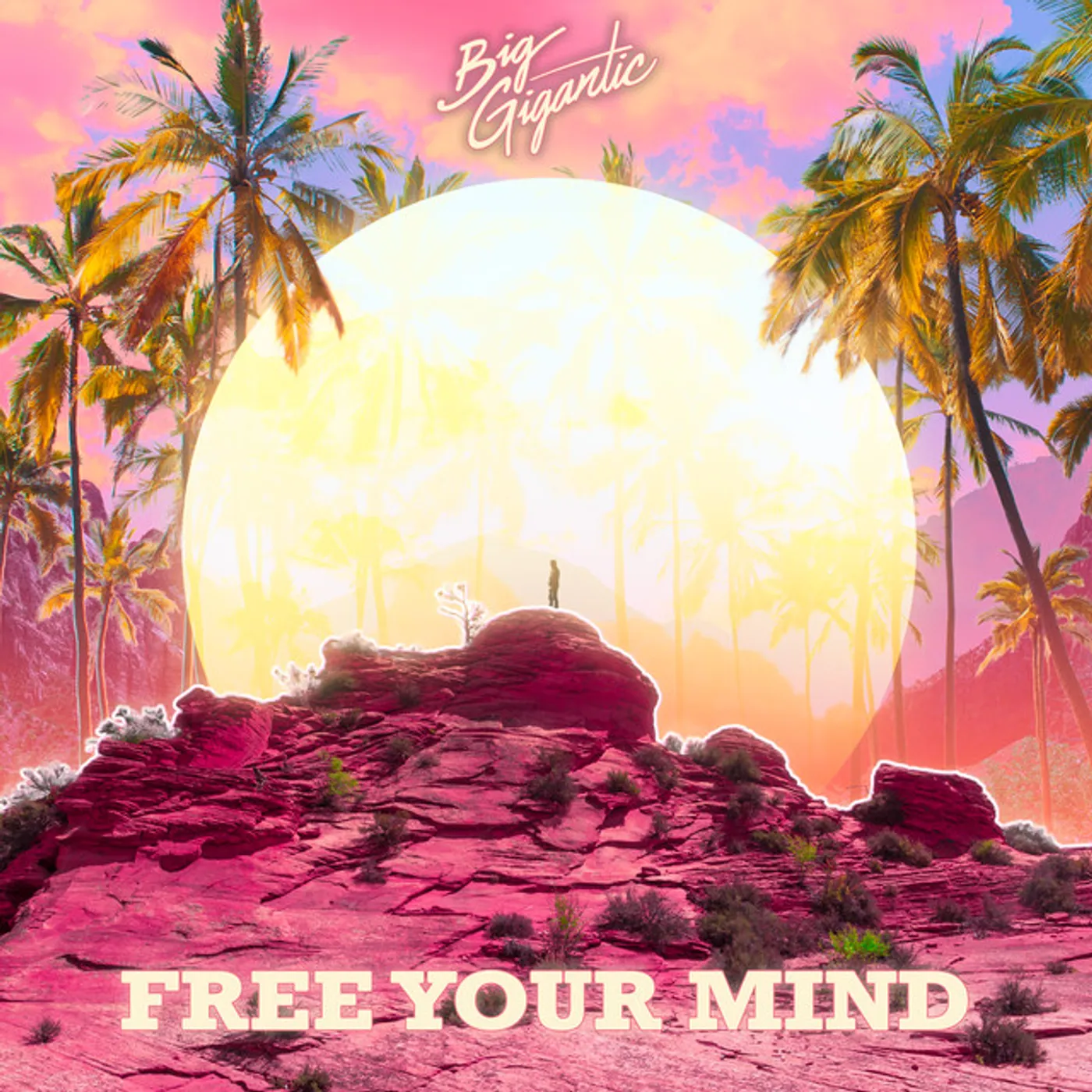 Big Gigantic FREE YOUR MIND CD