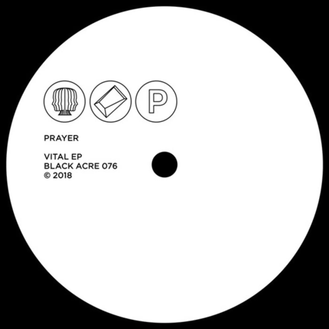 Prayer Vital Vinyl Record