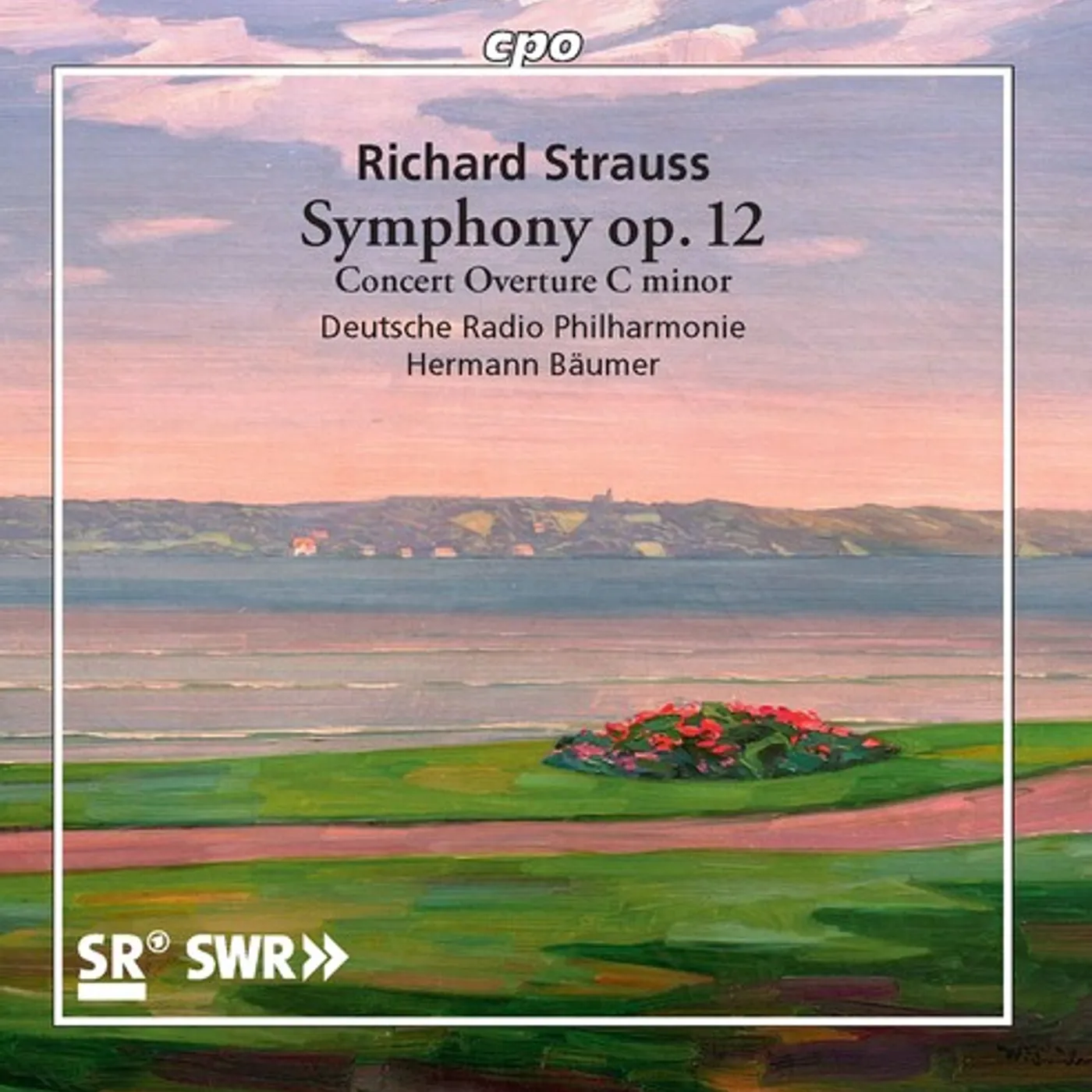 Deutsche Radio Philharmonie STRAUSS: SYMPHONY, OP. 12; CONCERT OVERTURE C MINOR CD