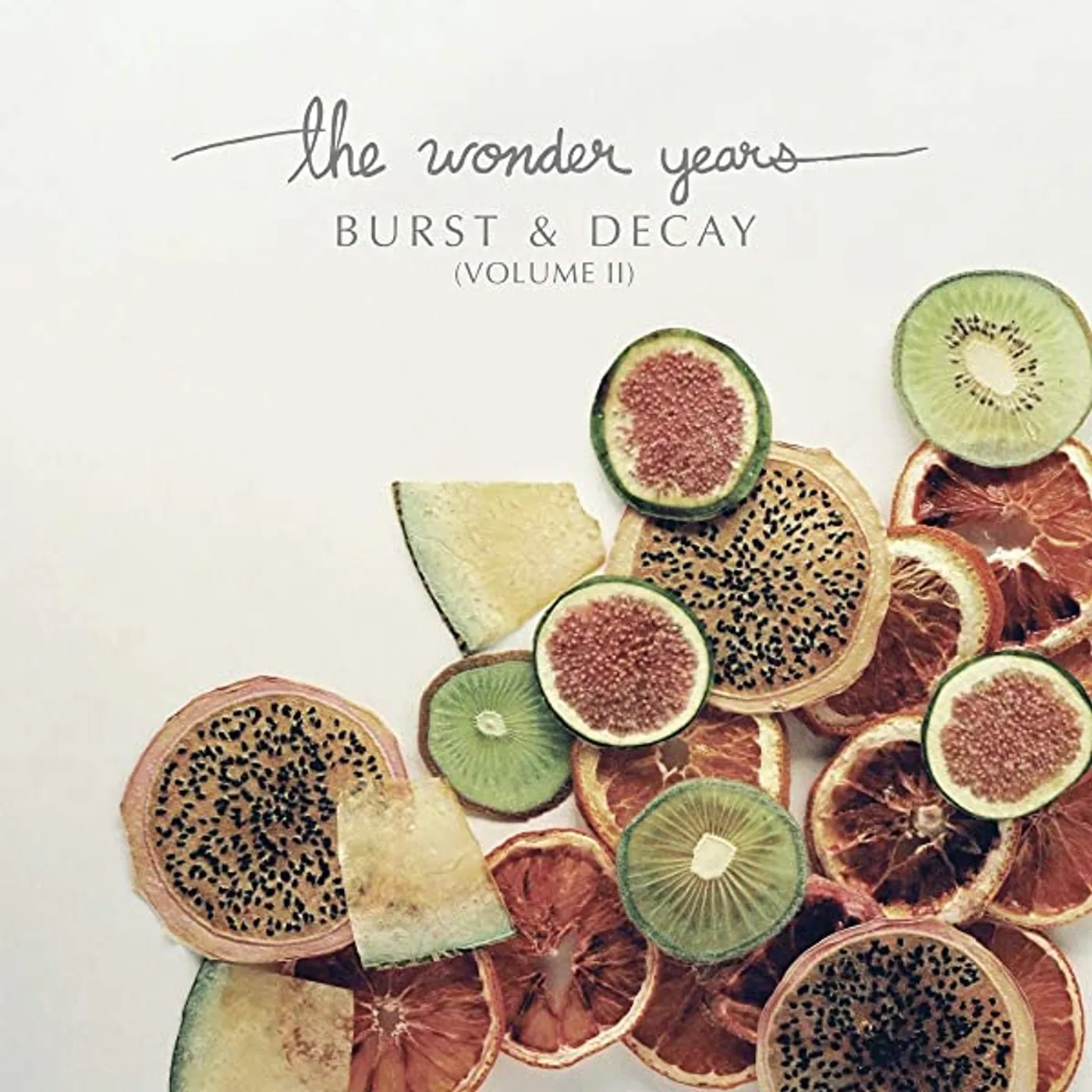 The Wonder Years BURST & DECAY VOL. 2 Vinyl Record - White Vinyl, Digital Download Included