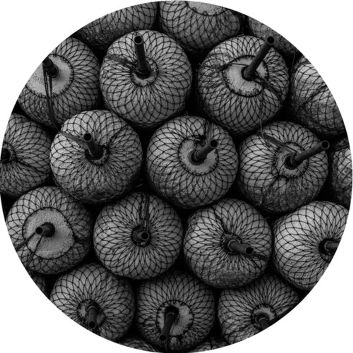 Forest Drive West PARALLEL SPACE Vinyl Record