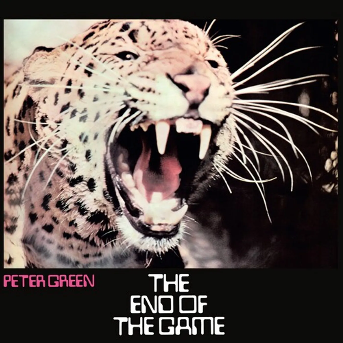 Peter Green END OF THE GAME: 50TH ANNIVERSARY CD