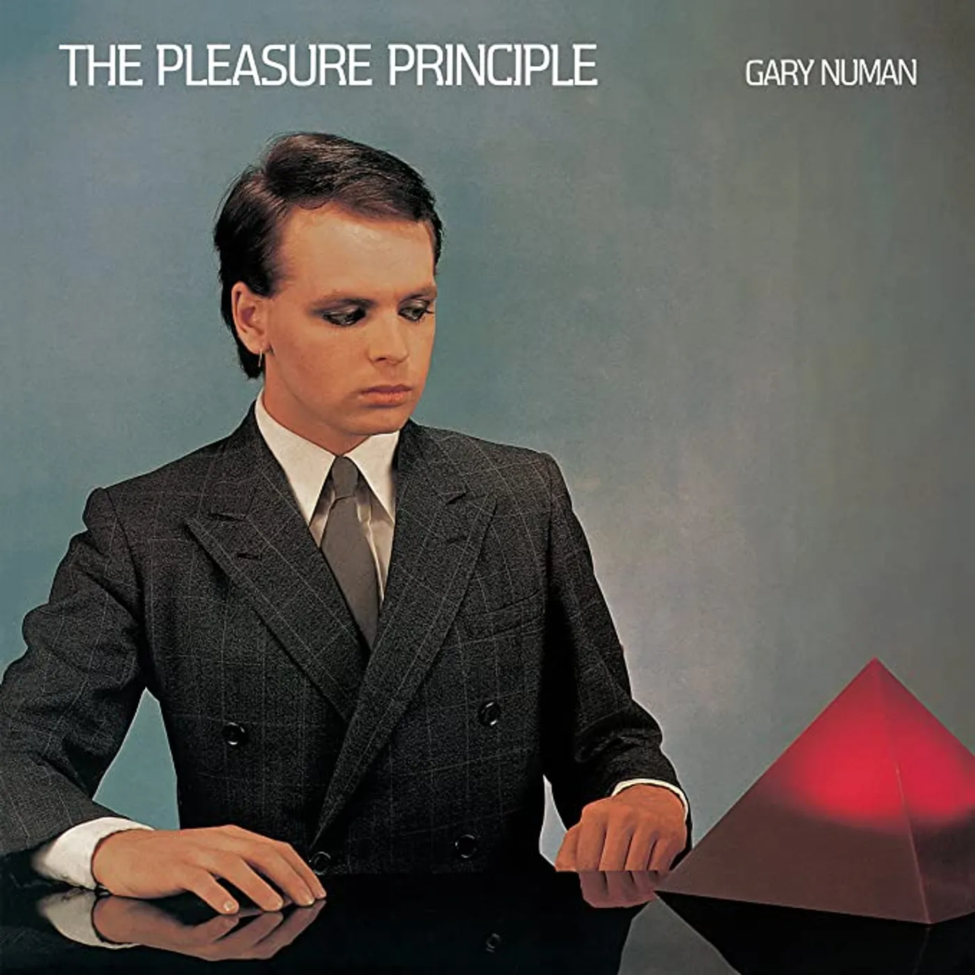 PLEASURE PRINCIPLE Vinyl Record