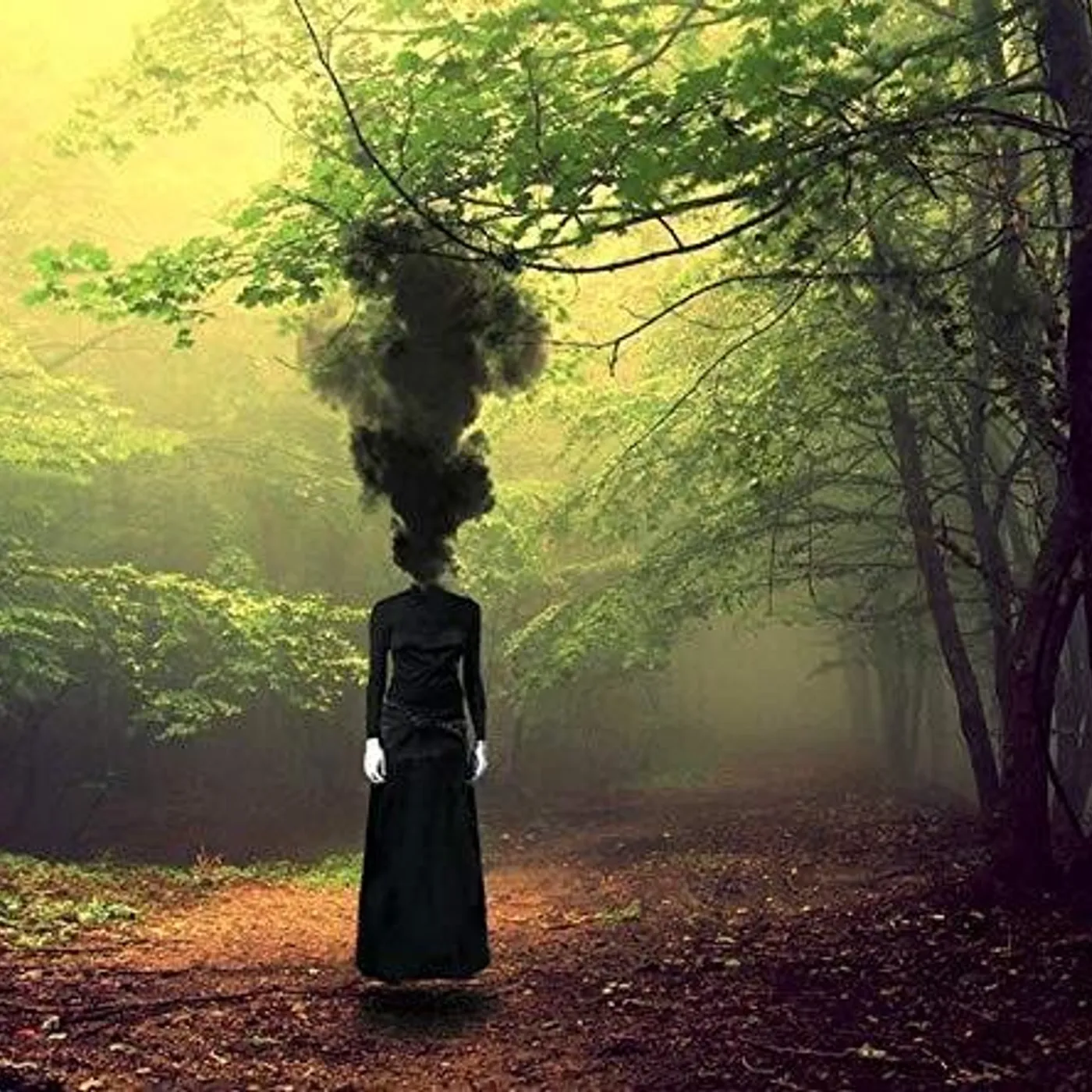 Herd of Instinct INCANTATION CD