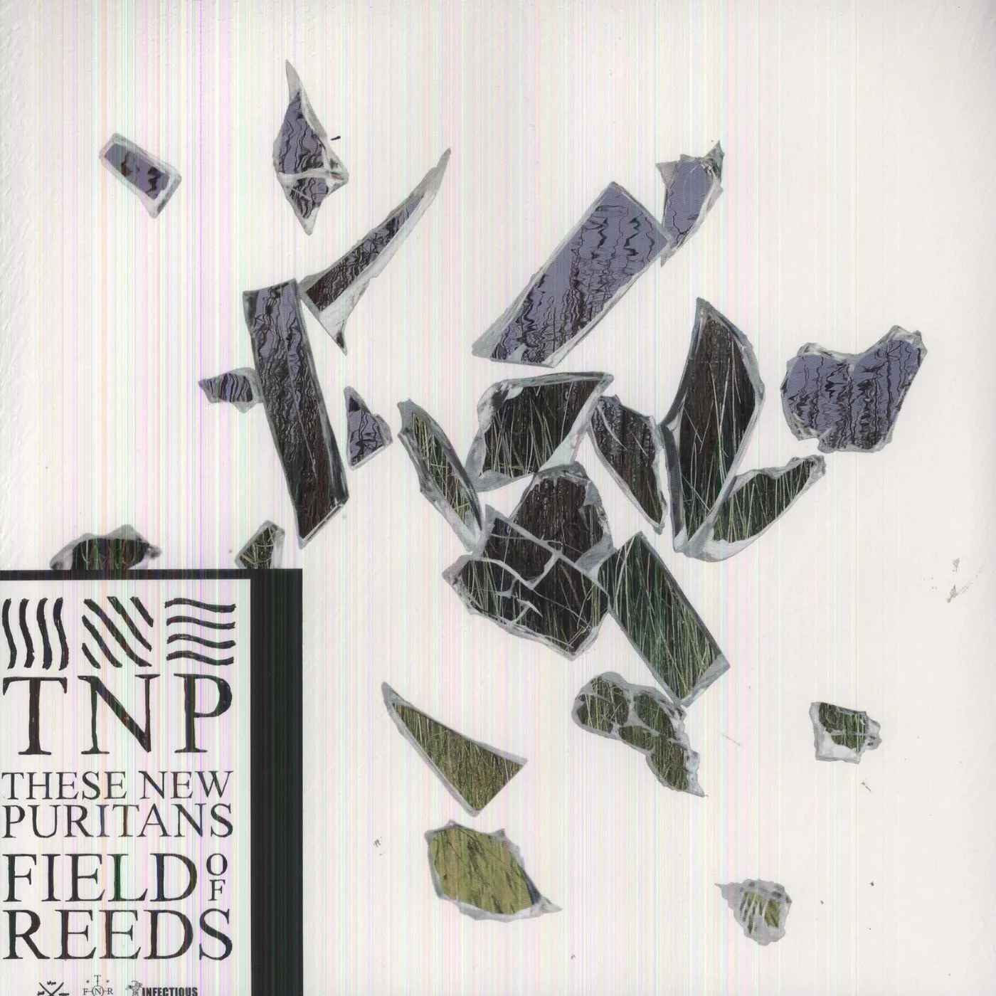 These New Puritans Field of Reeds Vinyl Record
