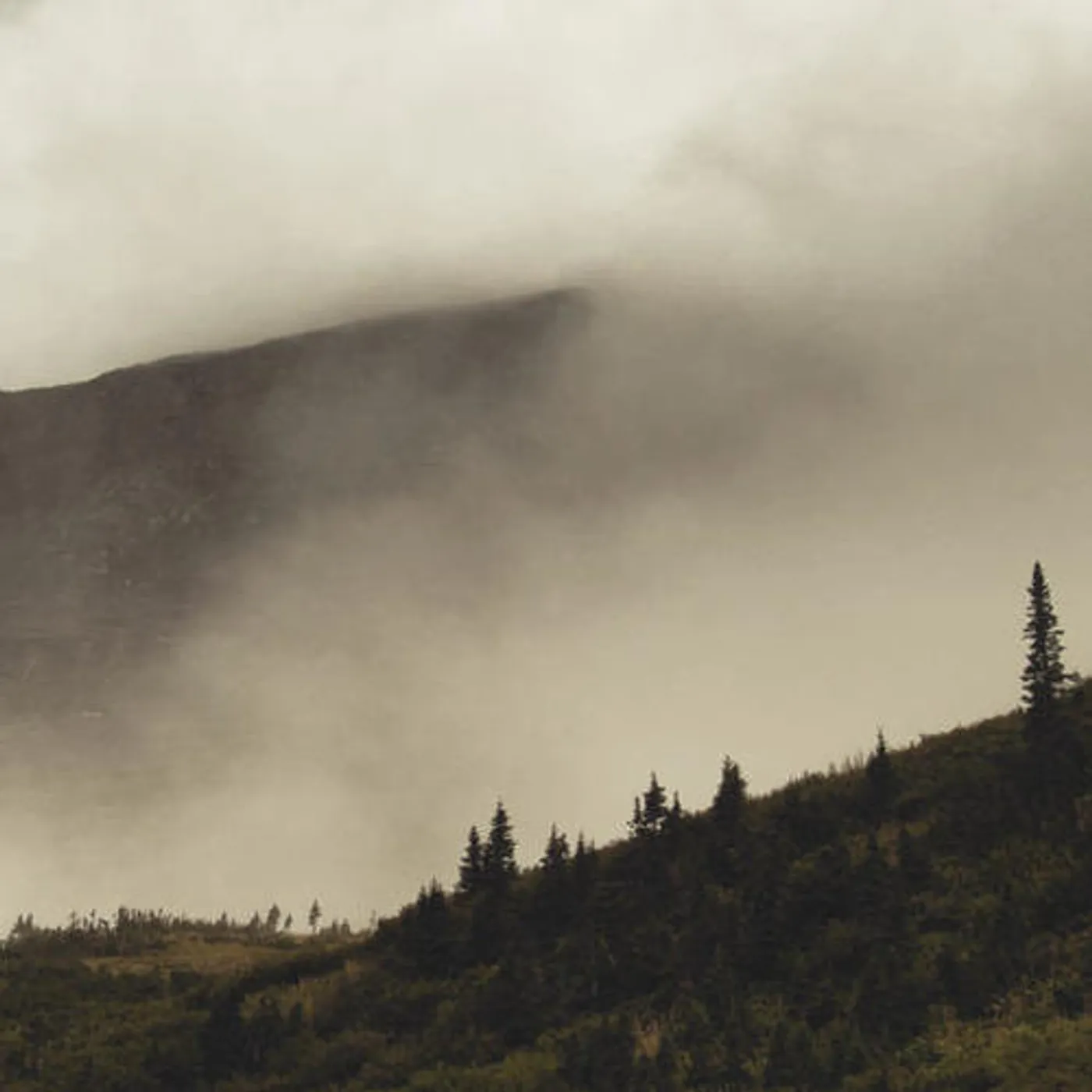 Lord Buffalo TOHU WA BOHU CD