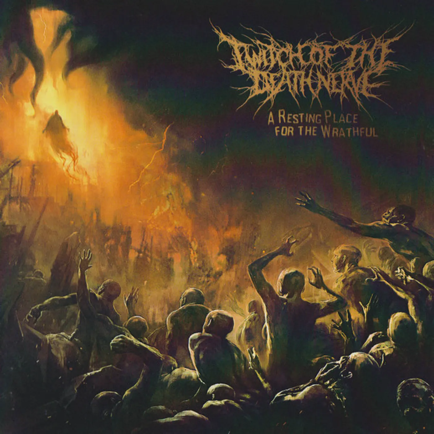 Twitch Of The Death Nerve RESTING PLACE FOR THE WRATHFUL CD