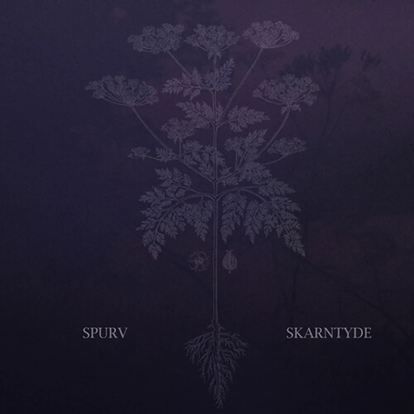 Spurv Skarntyde Vinyl Record