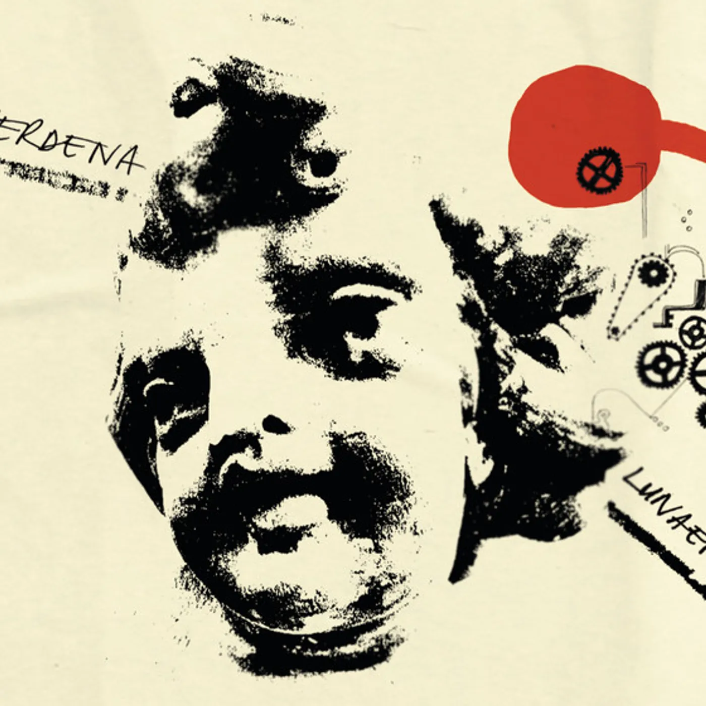 Verdena Luna Vinyl Record