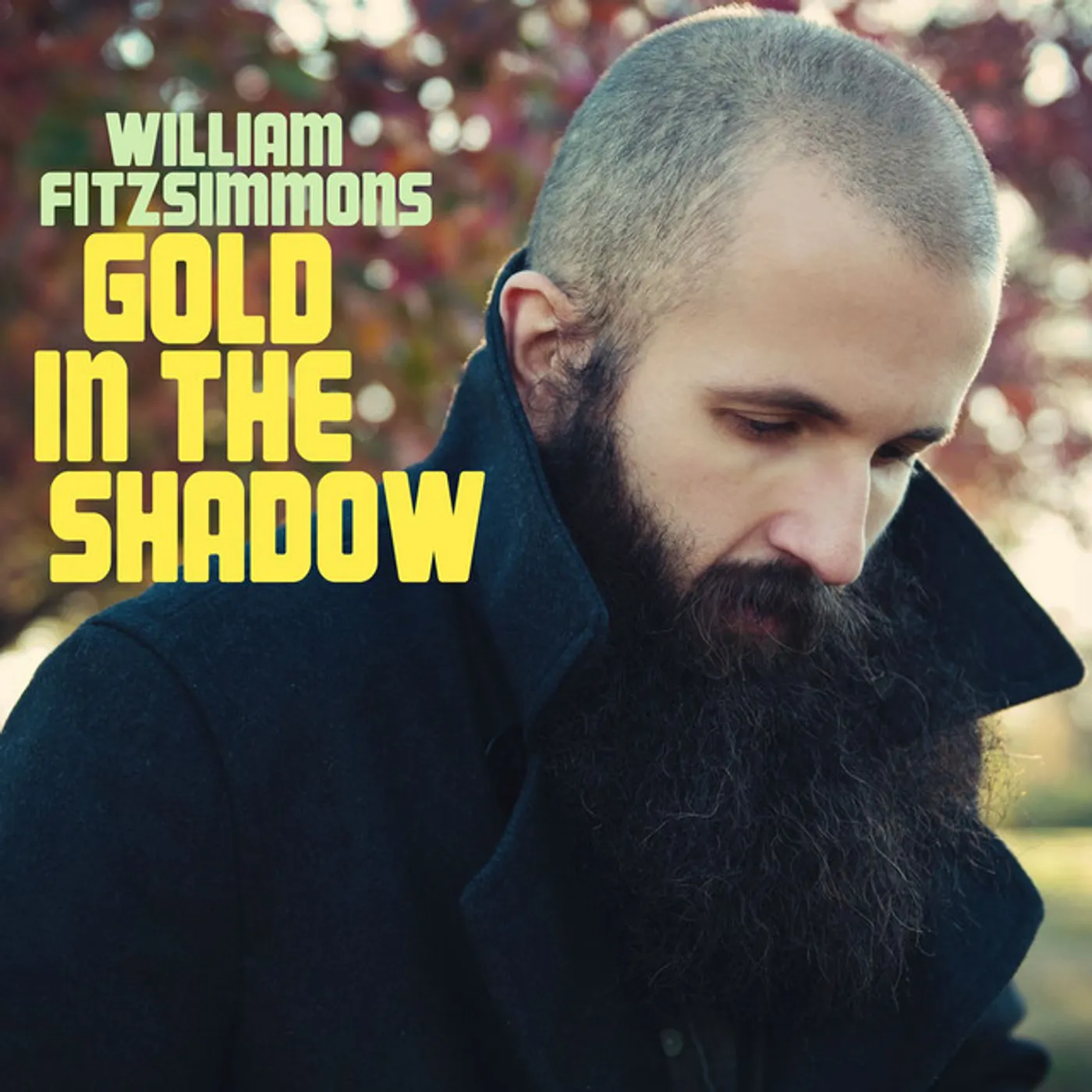 William Fitzsimmons GOLD IN THE SHADOW CD