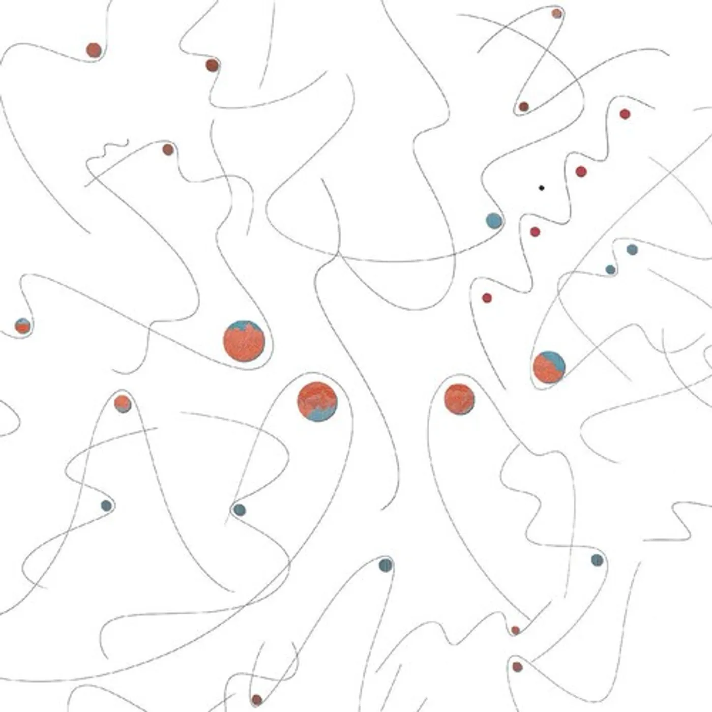 OOIOO nijimusi Vinyl Record