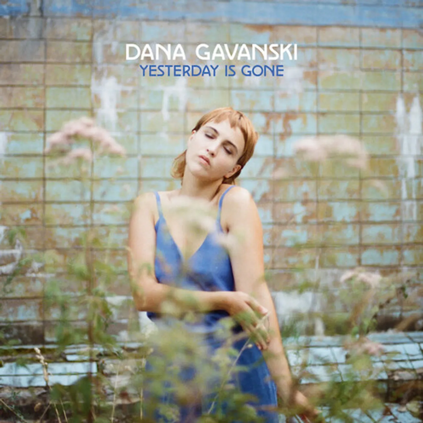 Dana Gavanski Yesterday Is Gone Vinyl Record