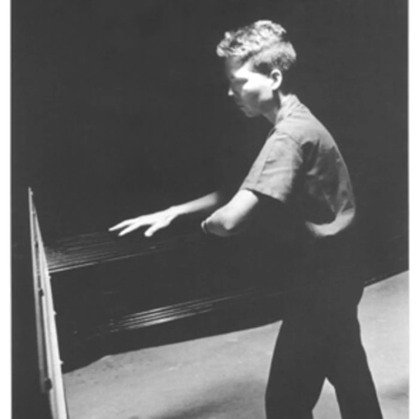 Ellen Fullman In the Sea Vinyl Record