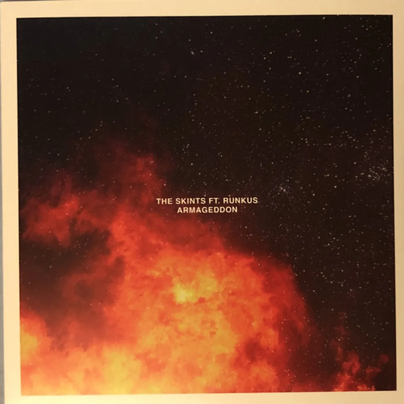 The Skints Armageddon Vinyl Record