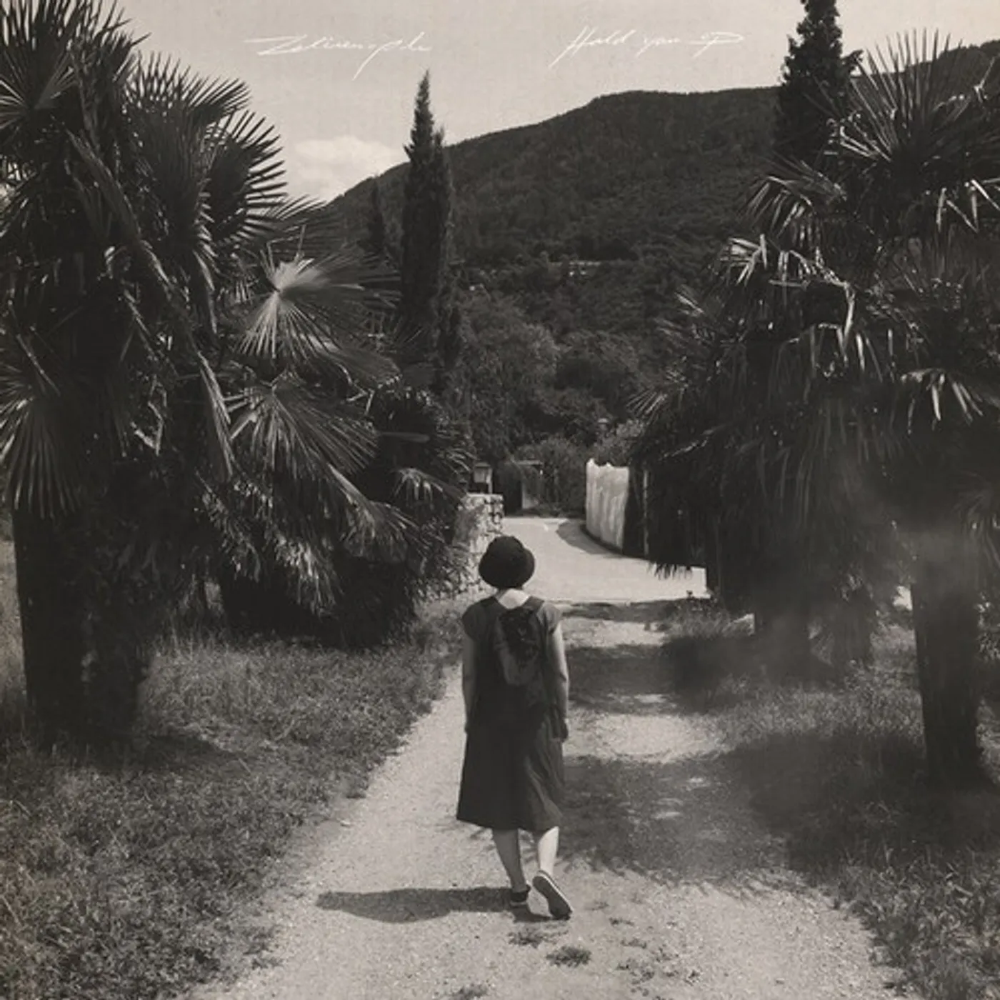 Zelienople Hold You Up Vinyl Record