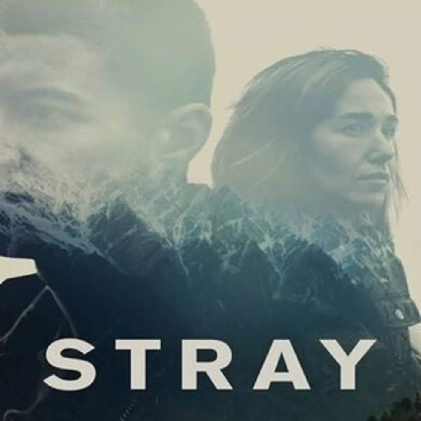 STRAY Blu-ray